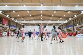 [CBA]约克半场压哨三分领衔CBA第11轮五佳球